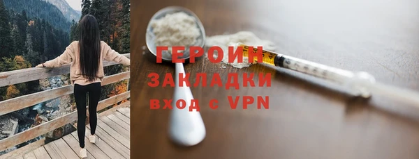 гашик Няндома