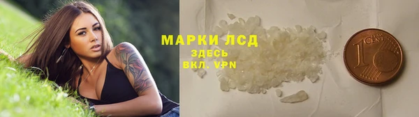 сатива Абинск