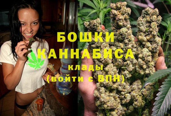 сатива Абинск