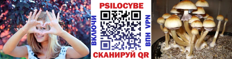 мега как зайти купить наркотики цена Починок Галлюциногенные грибы мухоморы