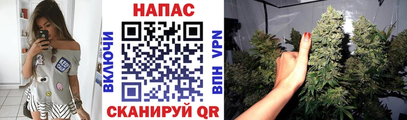 Каннабис THC 21%  omg вход  Починок 